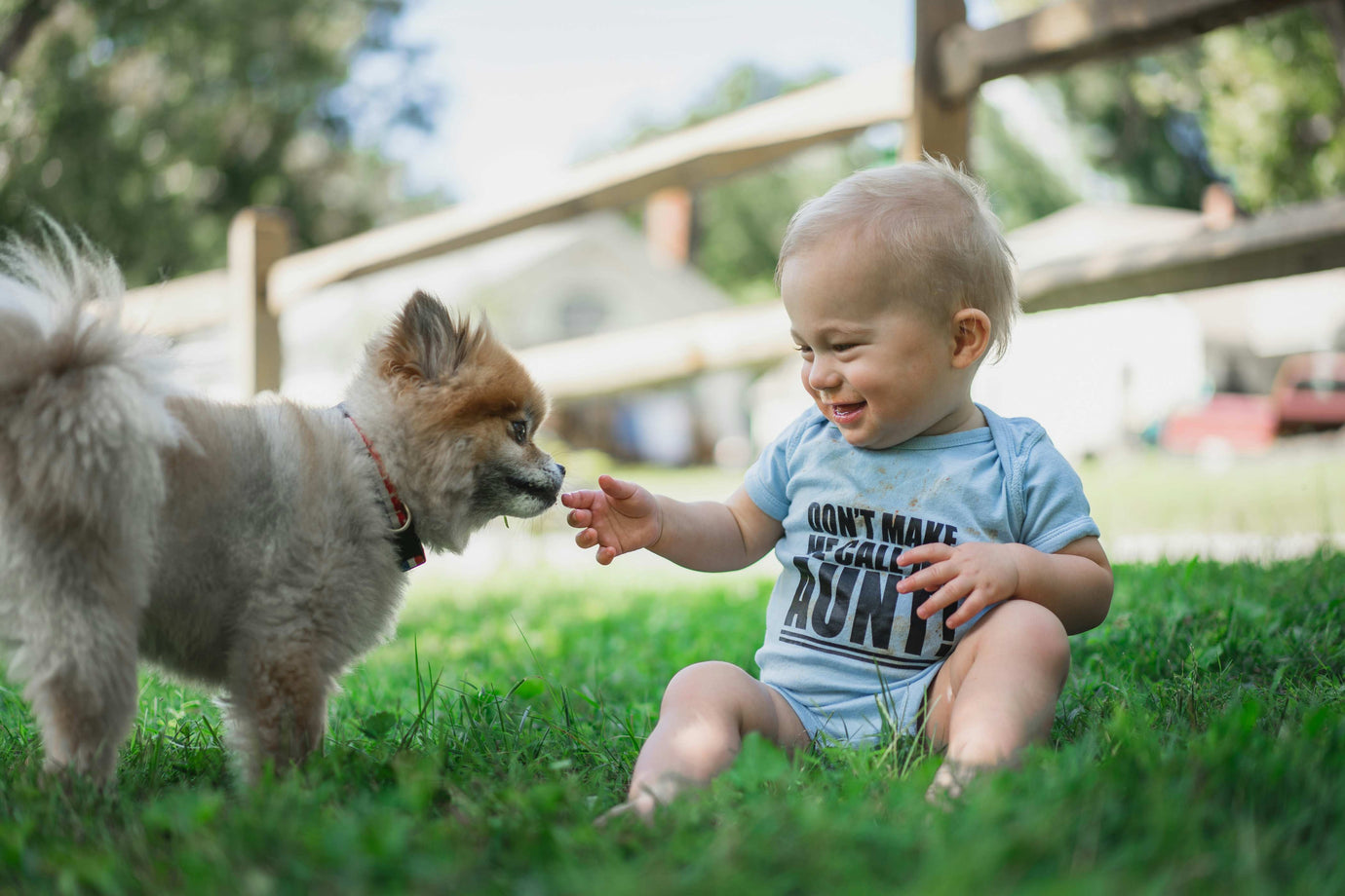 Welcoming a New Baby: A Dog Owner's Guide to a Smooth Transition