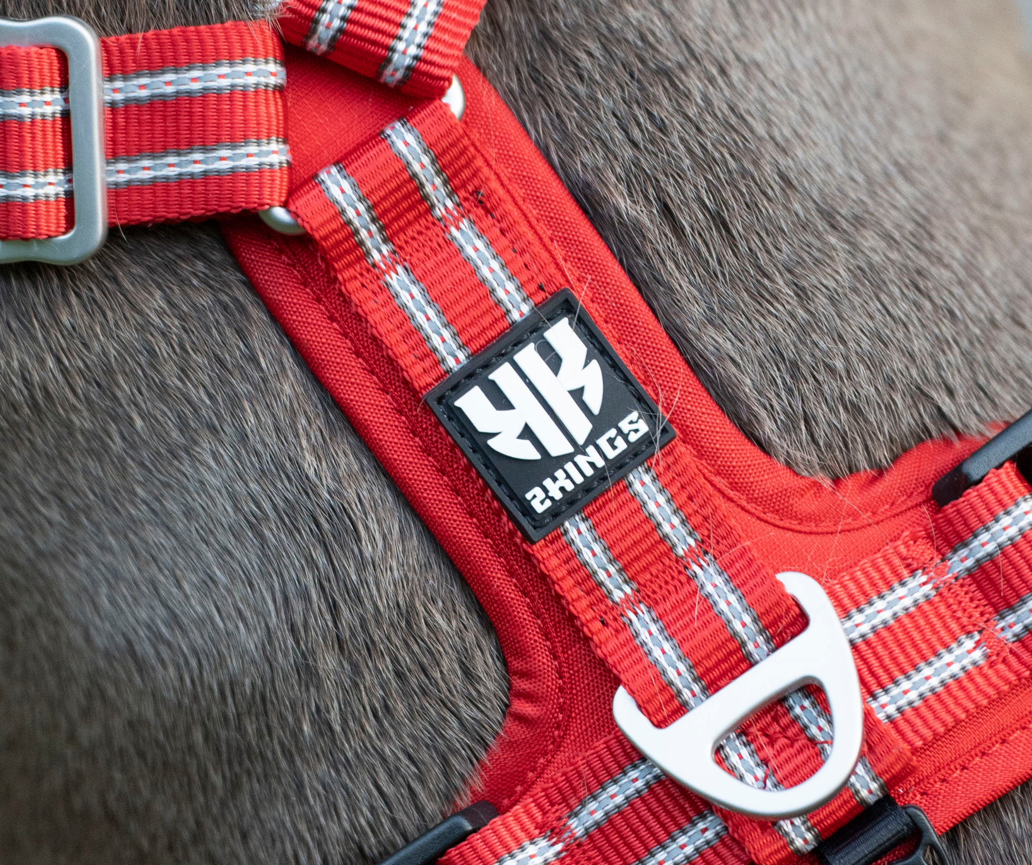 Adjustable Dog Harness & Classic Lead Set - Reflective & Lightweight - Red.