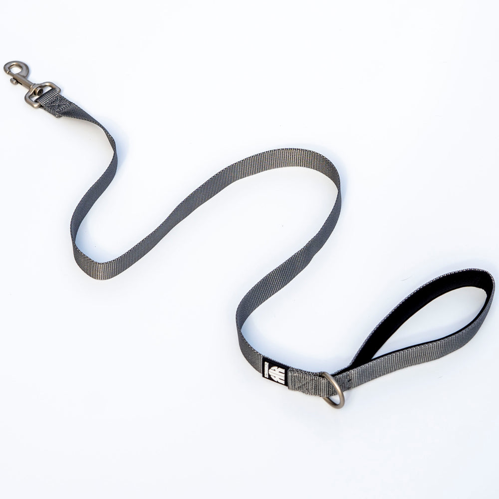 Classic Neoprene Padded Lead