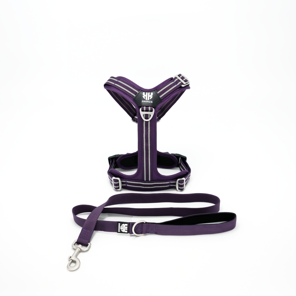 Adjustable Dog Harness & Classic Lead Set - Reflective & Lightweight - Purple.