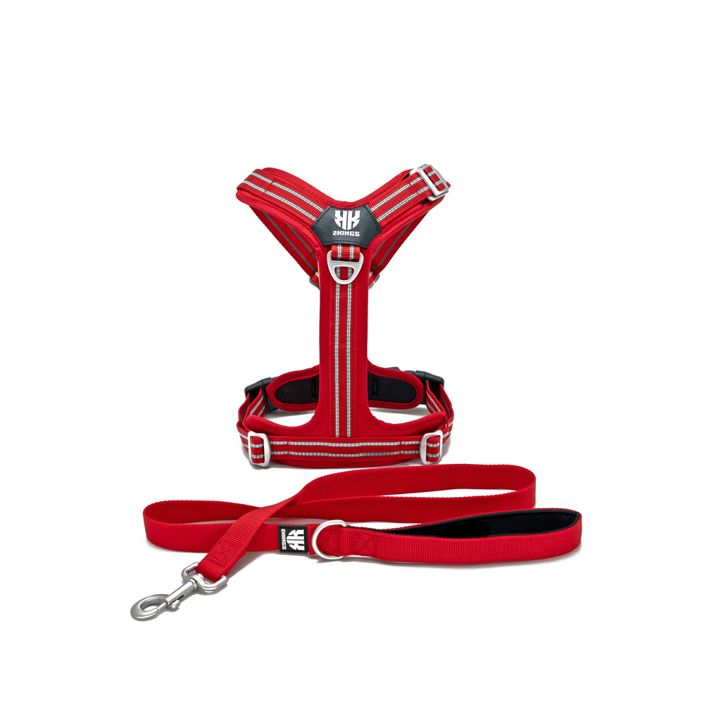 Adjustable Dog Harness & Classic Lead Set - Reflective & Lightweight - Red.