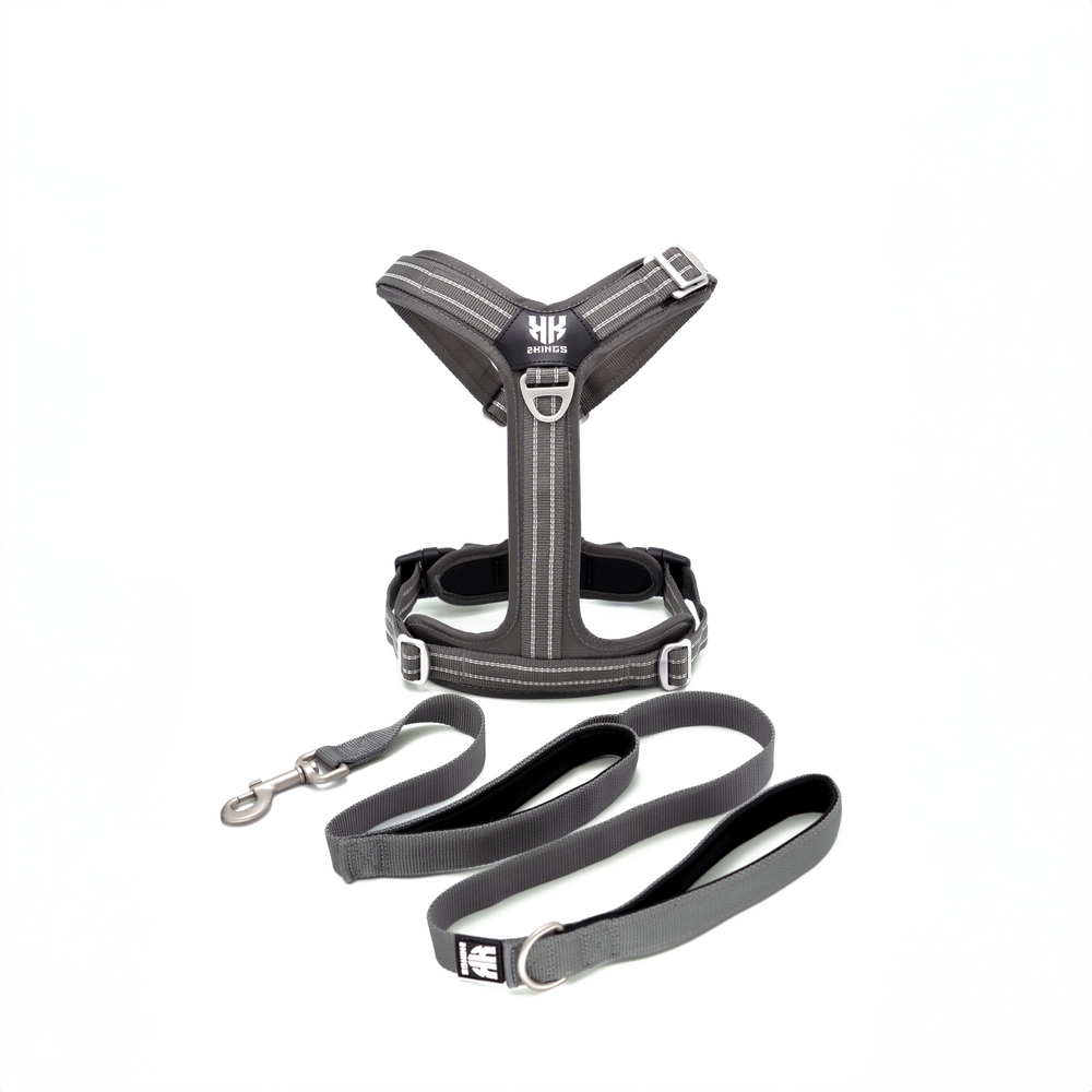 Adjustable Dog Harness with Double-Handed Lead Set - Lightweight & Reflective -Grey.