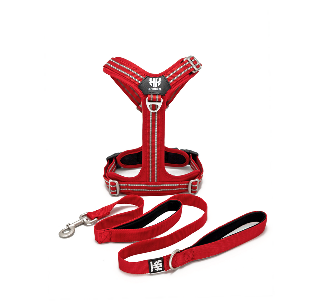 Adjustable Dog Harness with Double-Handed Lead Set - Lightweight & Reflective - Red.
