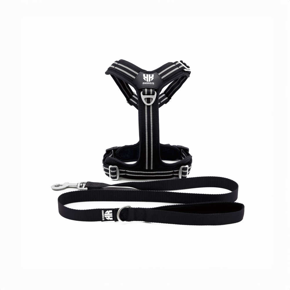 Adjustable Dog Harness & Classic Lead Set- Reflective & Lightweight - Black.
