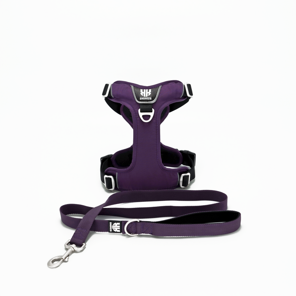 Comfort Dog Harness & Classic Lead Set - Waterproof with Top Handle - Purple.