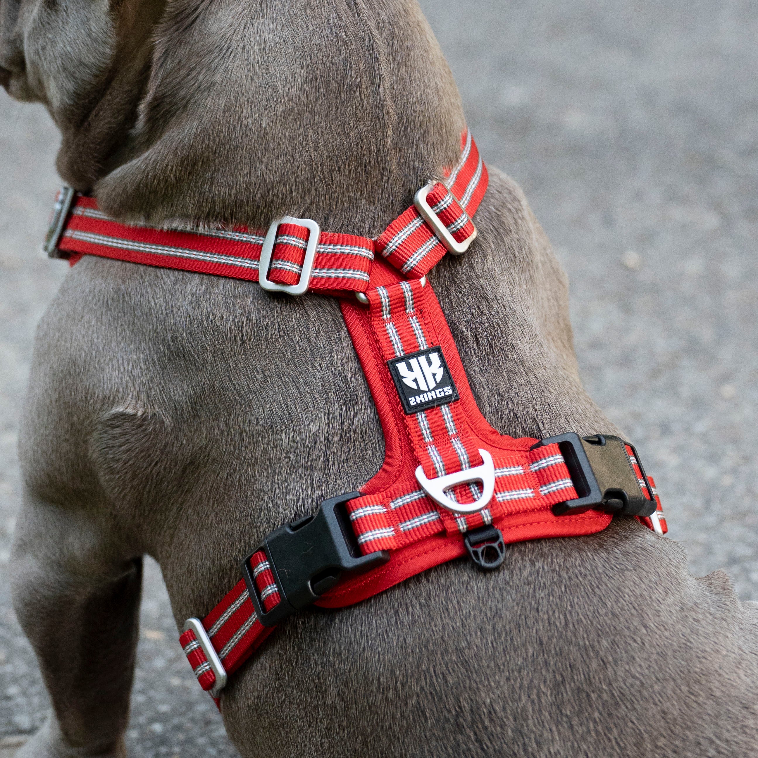 Adjustable Dog Harness & Classic Lead Set - Reflective & Lightweight - Red.