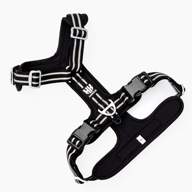 Back view of the best black dog harness, showcasing adjustable, lightweight design with reflective safety features.