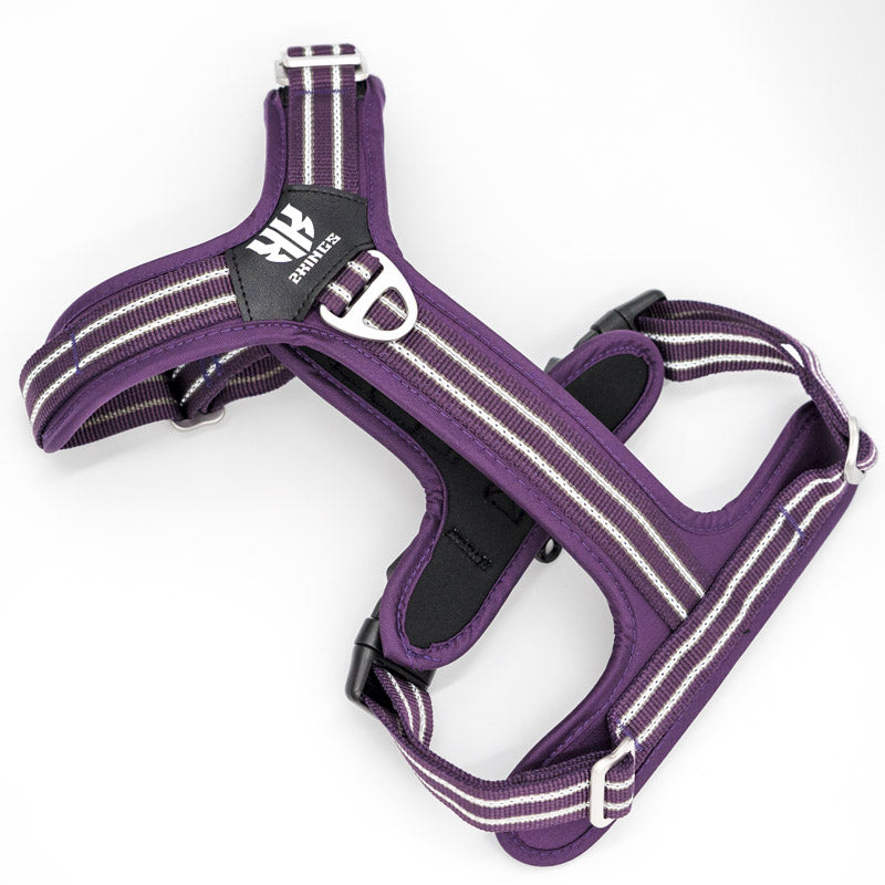 Lightweight purple dog harness with adjustable straps and reflective features for safety.