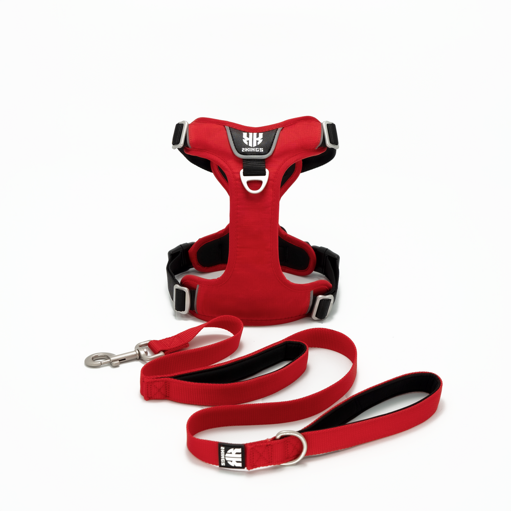 Comfort Dog Harness & Double Grip Lead Set - Padded & Waterproof with Top Handle - Red.
